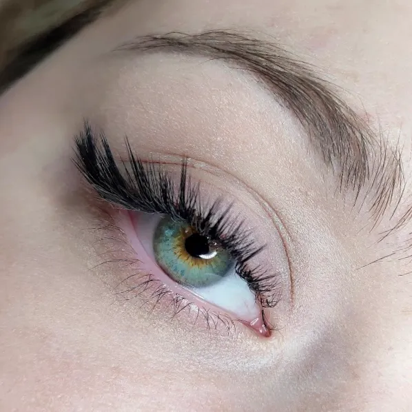 wispy lash in houston